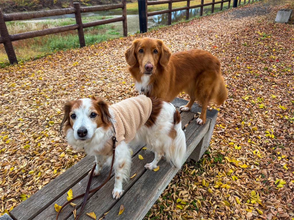 f:id:morningbuzz:20251213210229j:image f:id:morningbuzz:20251213210229j:image