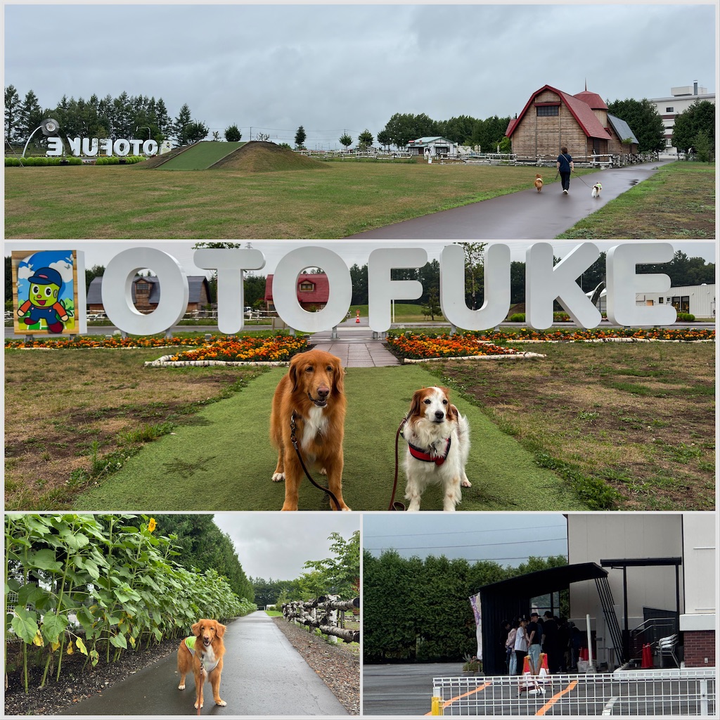 f:id:morningbuzz:20251223145723j:image