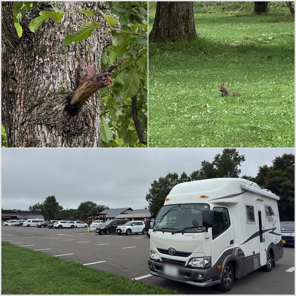 f:id:morningbuzz:20251223145927j:image