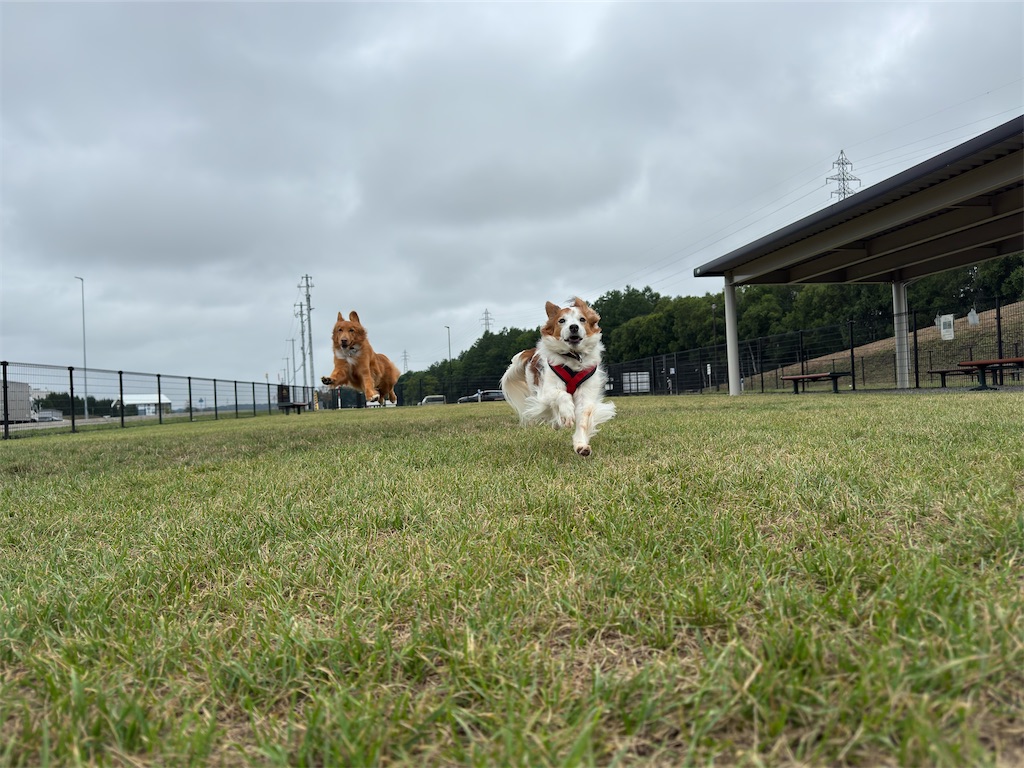 f:id:morningbuzz:20251223151030j:image