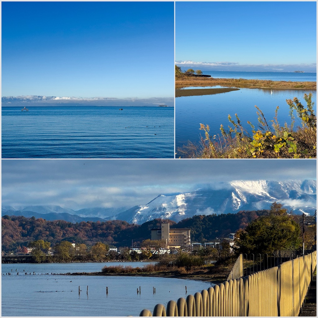 f:id:morningbuzz:20251230155107j:image f:id:morningbuzz:20251230155107j:image