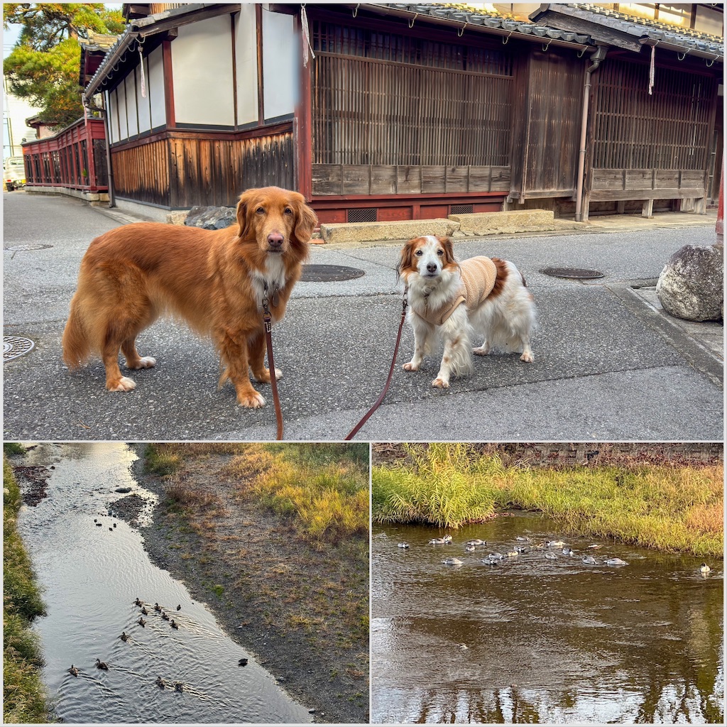 f:id:morningbuzz:20251230155302j:image f:id:morningbuzz:20251230155302j:image