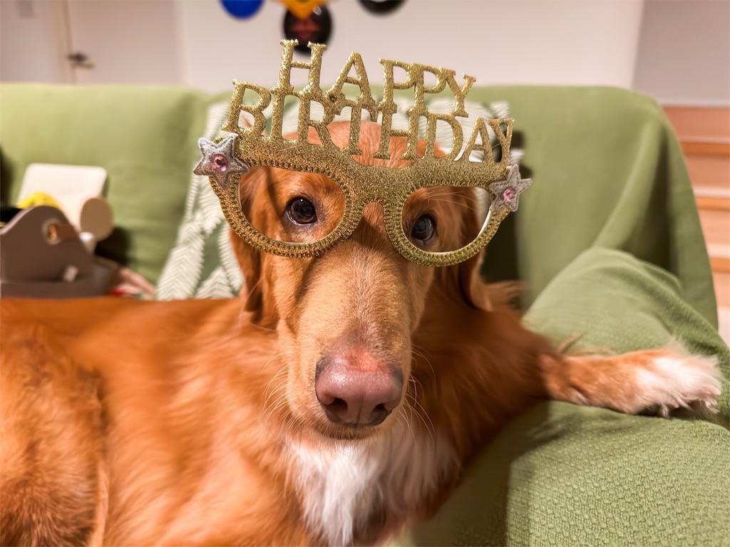 f:id:morningbuzz:20251230155616j:image f:id:morningbuzz:20251230155616j:image