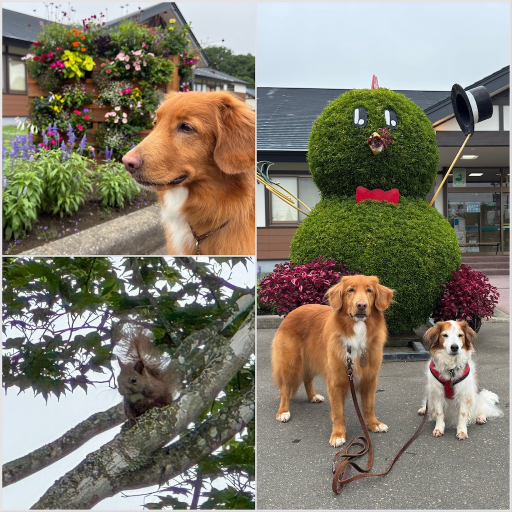 f:id:morningbuzz:20260106204403j:image f:id:morningbuzz:20260106204403j:image