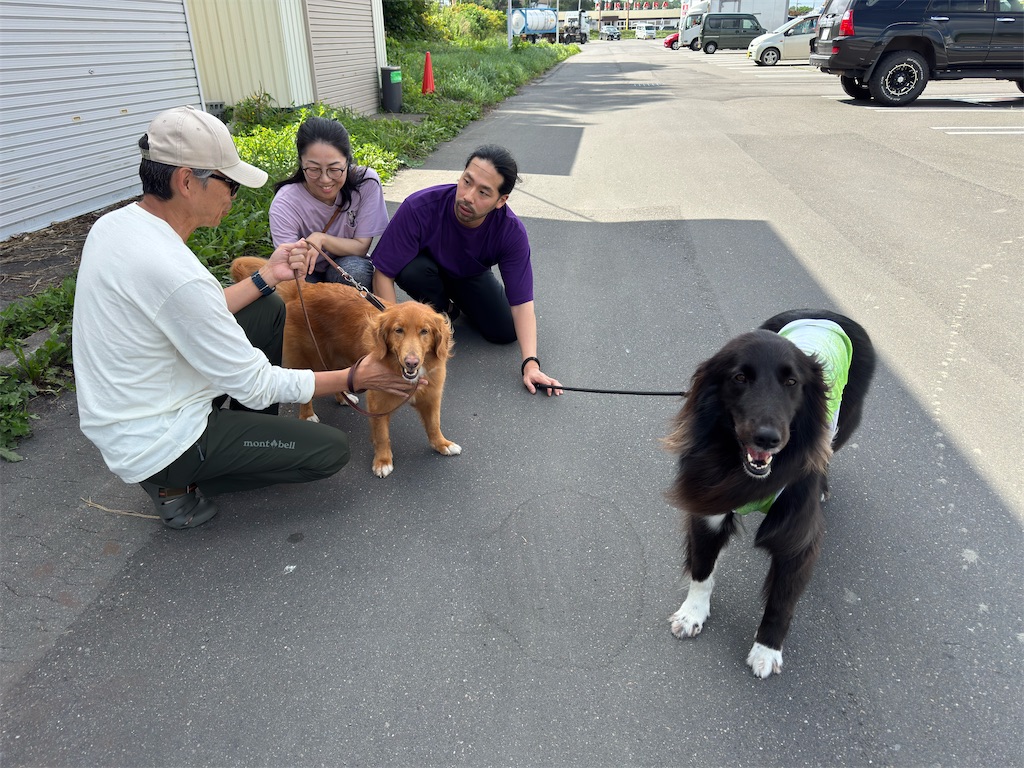 f:id:morningbuzz:20260115214721j:image f:id:morningbuzz:20260115214721j:image