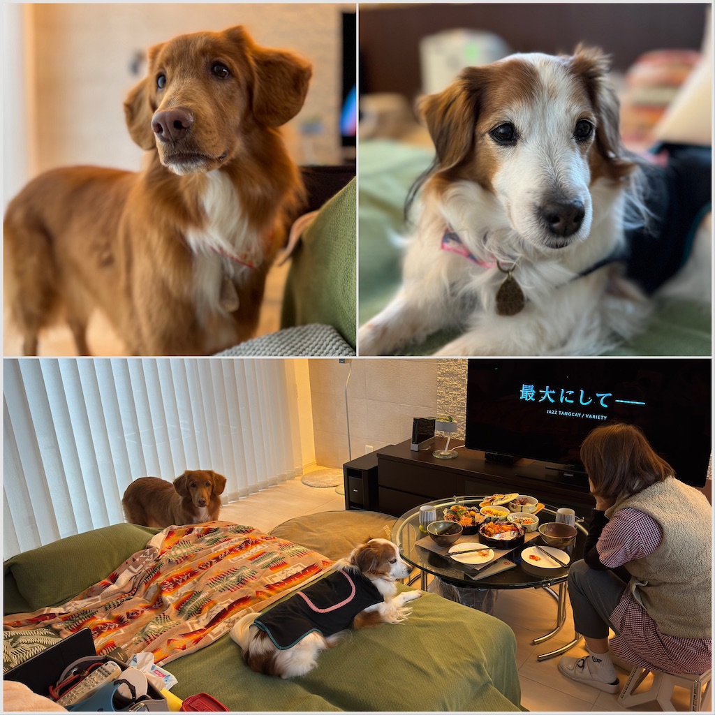 f:id:morningbuzz:20260120204549j:image f:id:morningbuzz:20260120204549j:image