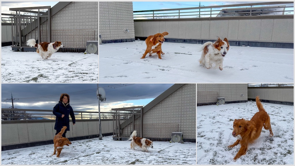 f:id:morningbuzz:20260120204616j:image f:id:morningbuzz:20260120204616j:image