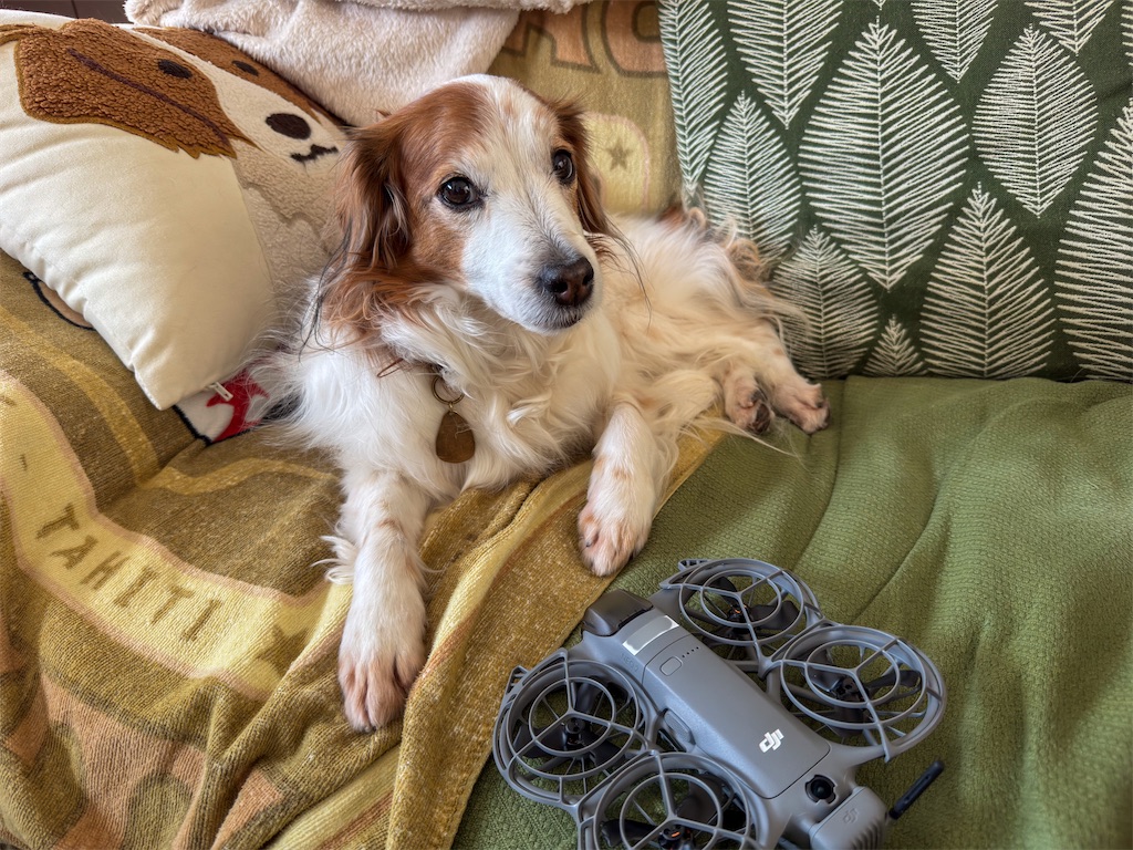 f:id:morningbuzz:20260120204846j:image f:id:morningbuzz:20260120204846j:image