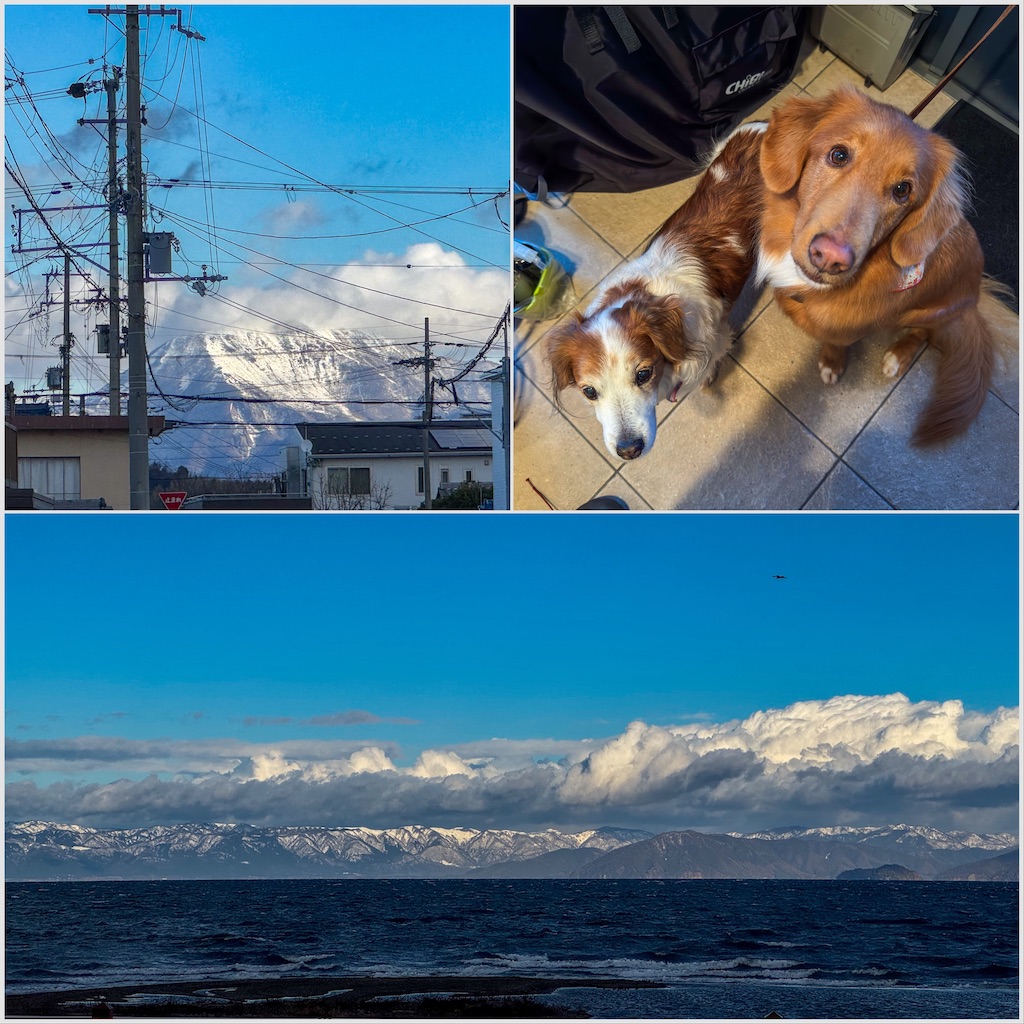 f:id:morningbuzz:20260120204931j:image f:id:morningbuzz:20260120204931j:image