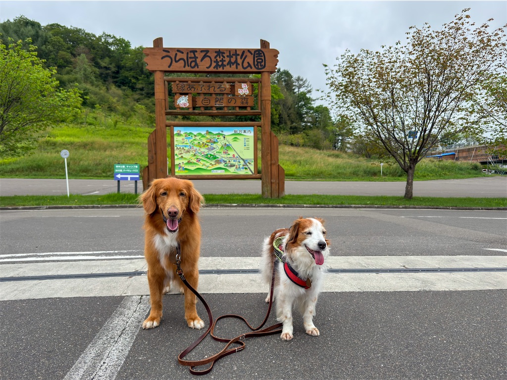 f:id:morningbuzz:20260129225053j:image f:id:morningbuzz:20260129225053j:image