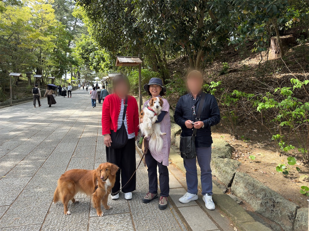 f:id:morningbuzz:20260913211819j:image f:id:morningbuzz:20260913211819j:image