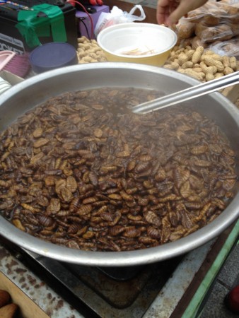 f:id:morningmist7:20120204153900j:image f:id:morningmist7:20120204153900j:image