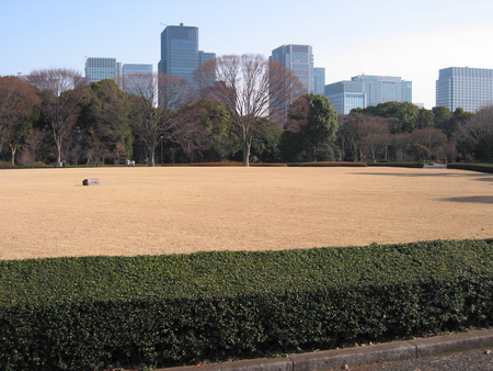 f:id:morningrain:20080105134506j:image