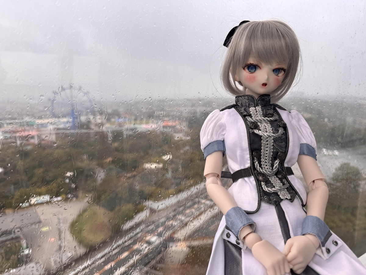 雨で霞んだガラスの向こうで遊園地を見下ろす景色と、手前に座ってるギンカ
