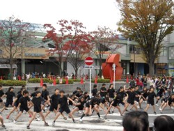 f:id:morningstar:20081108141713j:image