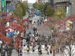 f:id:morningstar:20081108142120j:image