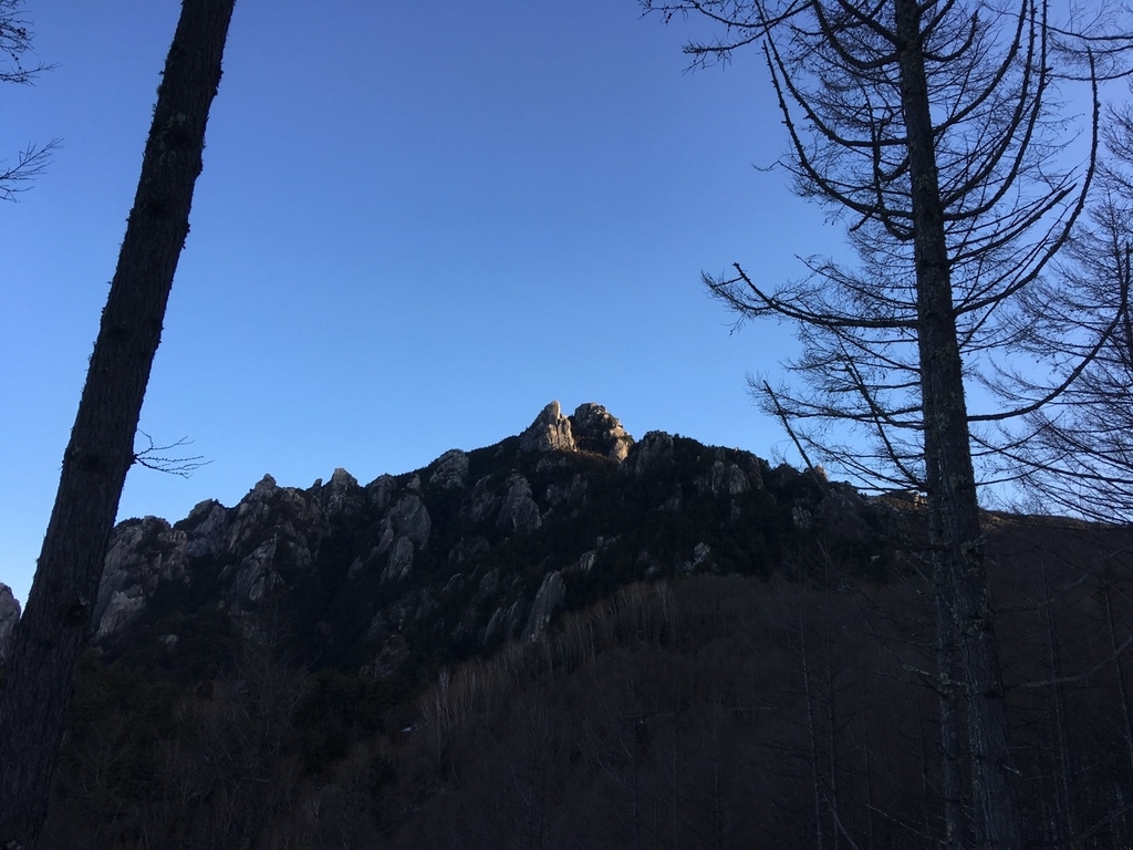 f:id:moro_lomo:20181230111302j:plain f:id:moro_lomo:20181230111302j:plain