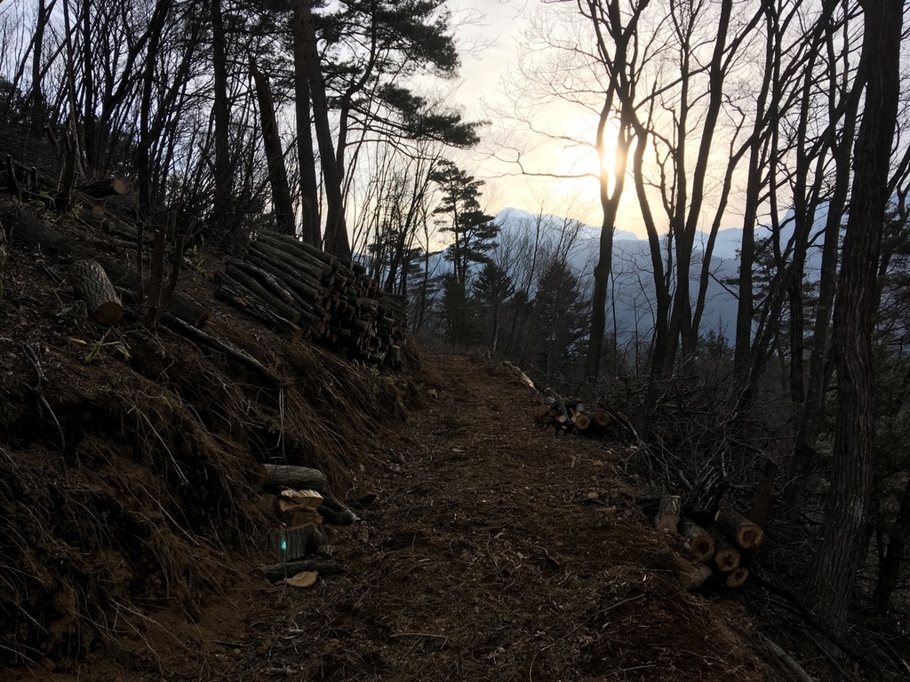 f:id:moro_lomo:20190303071022j:plain f:id:moro_lomo:20190303071022j:plain