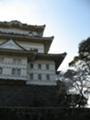 [大雄山最乗寺]小田原城