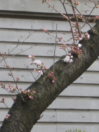 f:id:morooka:20100323141752j:image