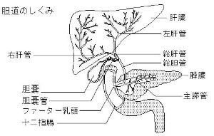 f:id:morooka:20150124100333j:image:right