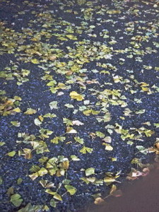 f:id:morooka:20171226113530j:image:left