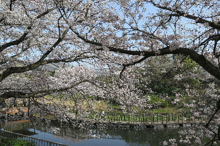 f:id:morooka:20180329223300j:image:left