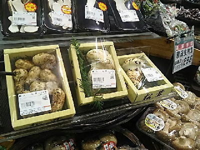 f:id:morooka:20200909201432j:plain