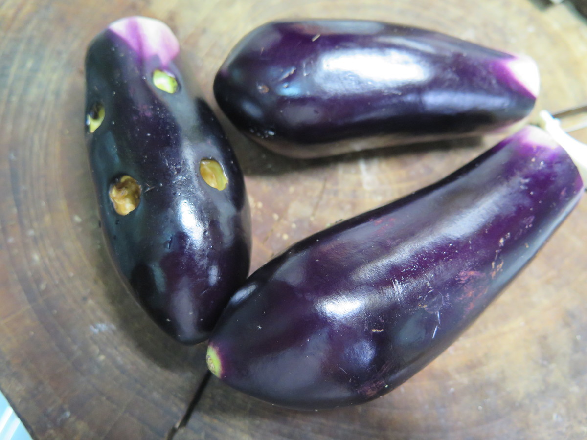 f:id:morooka:20210816194749j:plain