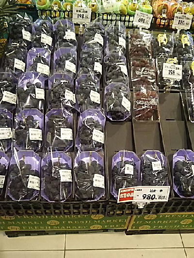 f:id:morooka:20210821152250j:plain