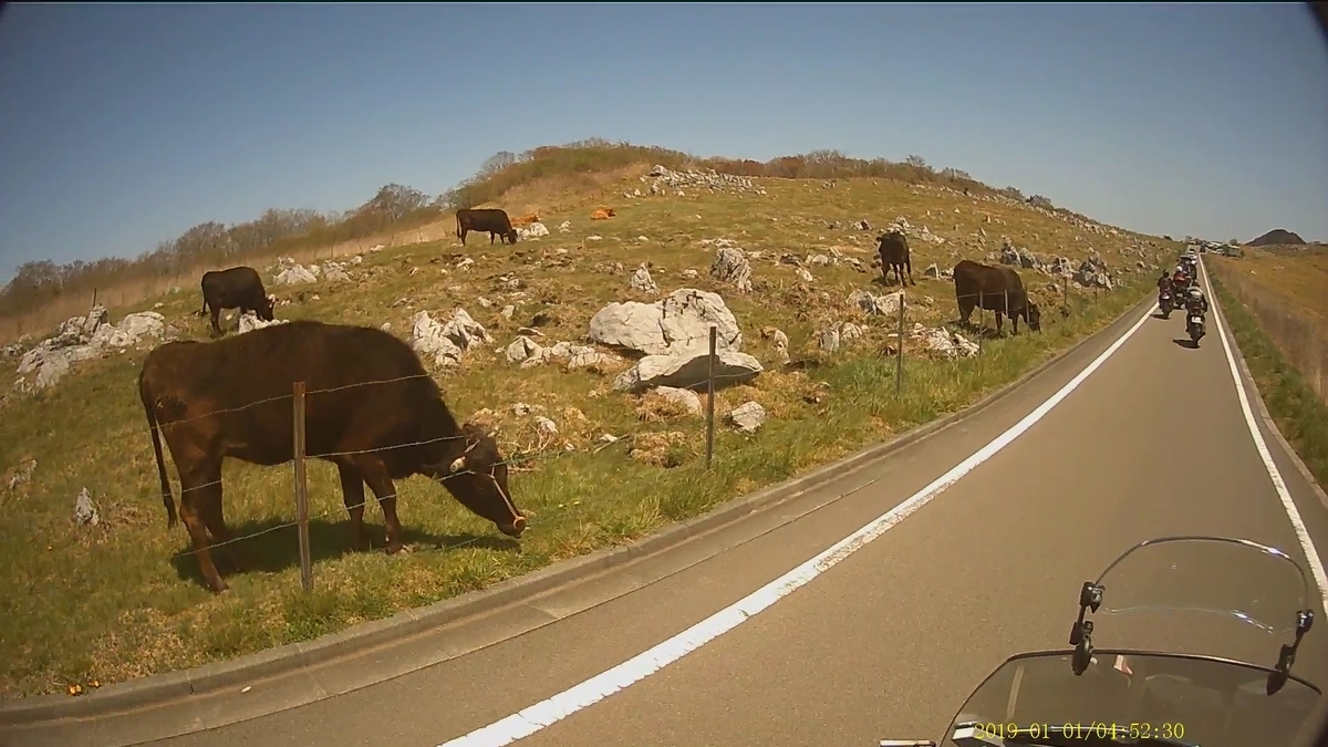 f:id:morriee2:20210512155607j:plain