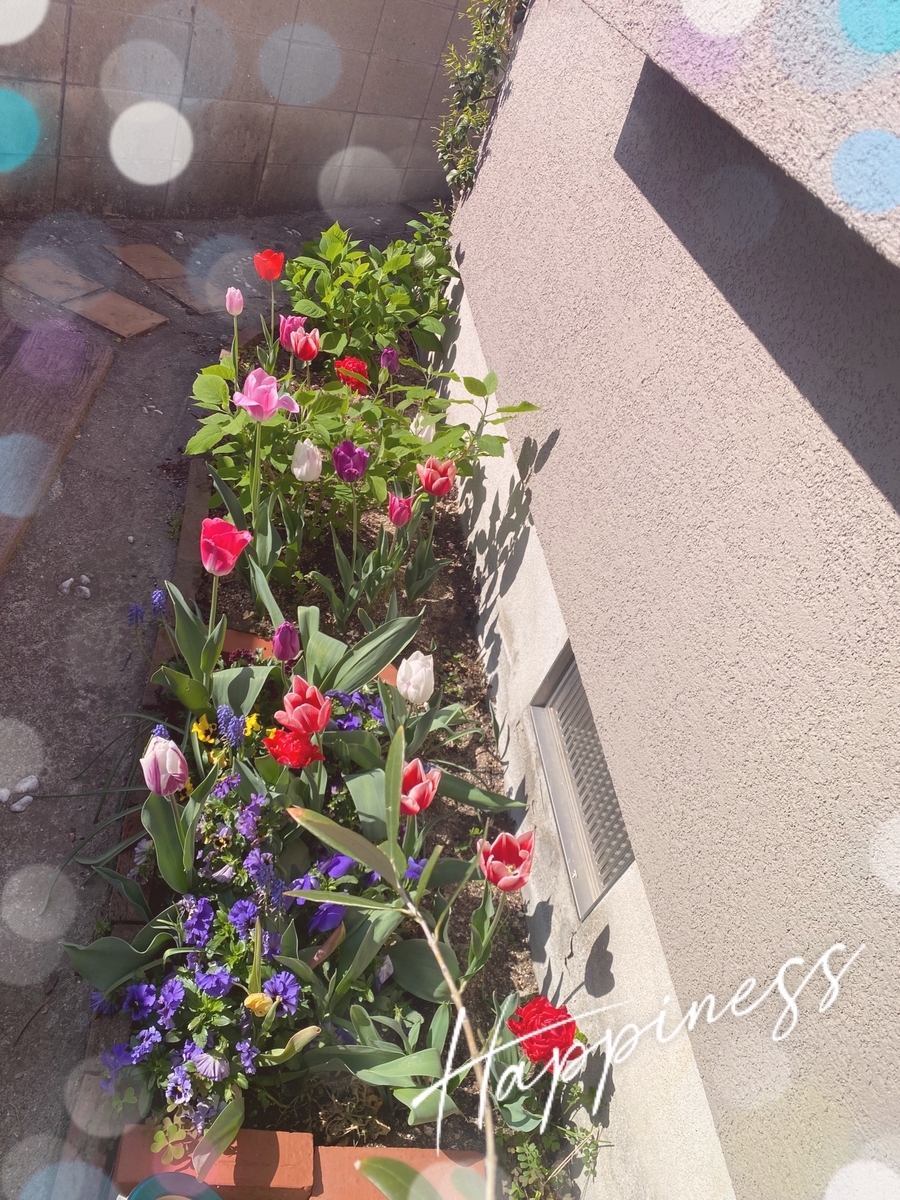 f:id:moru27:20220416090732j:plain