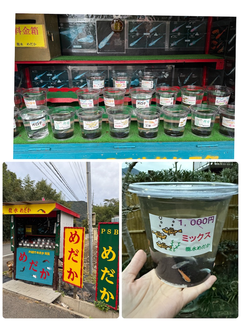 f:id:moru27:20251119143740j:image f:id:moru27:20251119143740j:image