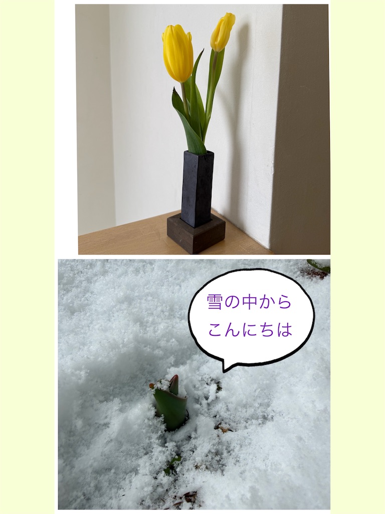 f:id:moru27:20260208103336j:image f:id:moru27:20260208103336j:image