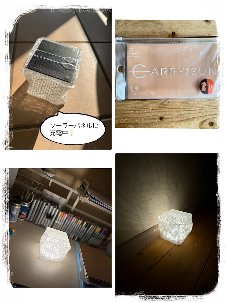 f:id:moru27:20260213212759j:image f:id:moru27:20260213212759j:image
