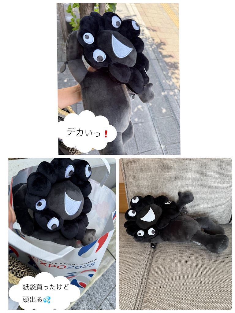 f:id:moru27:20260713191703j:image
