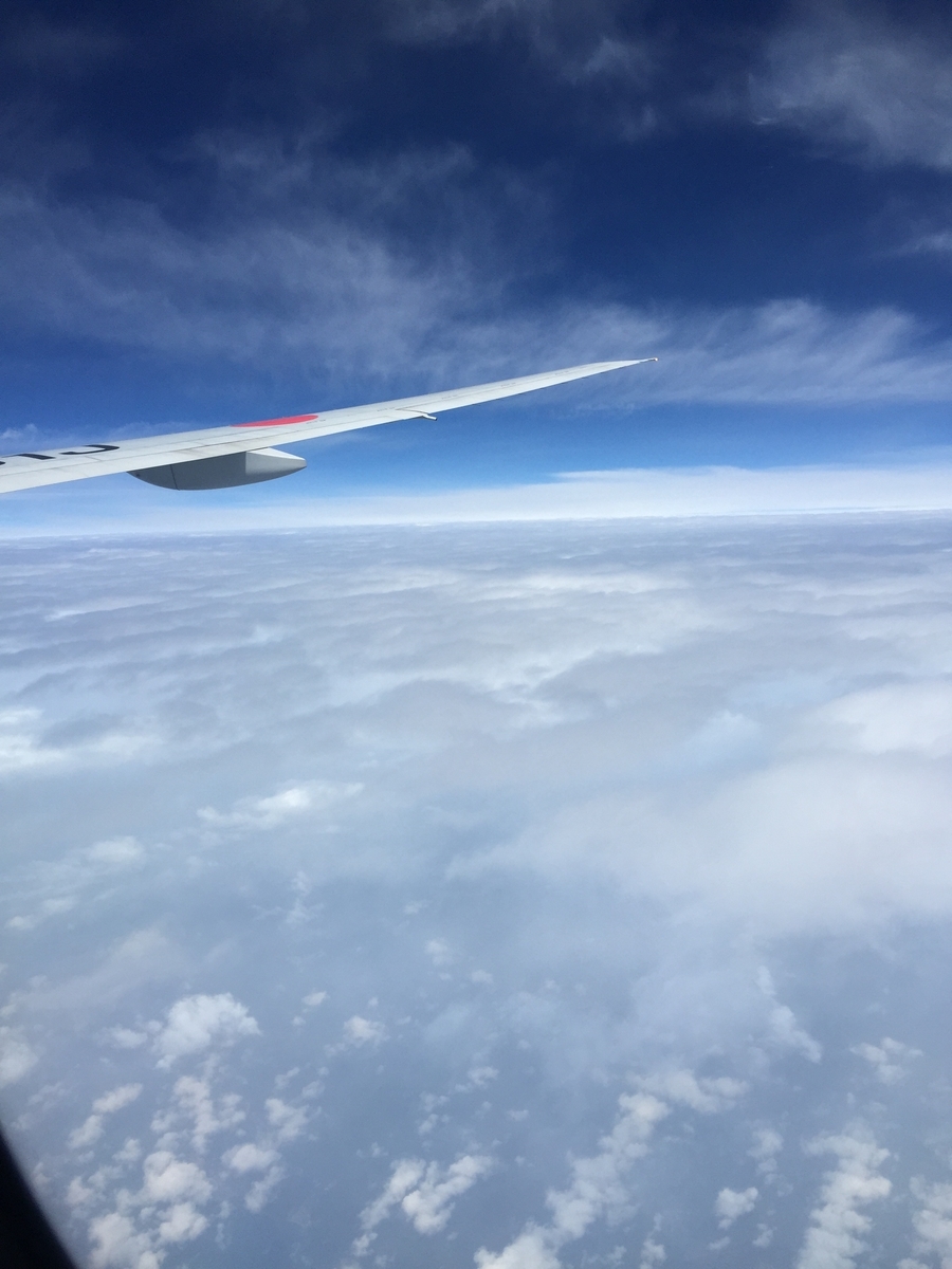 f:id:moru7:20190421114244j:plain f:id:moru7:20190421114244j:plain