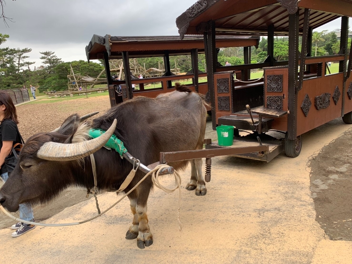 f:id:moru7:20190423211558j:plain f:id:moru7:20190423211558j:plain