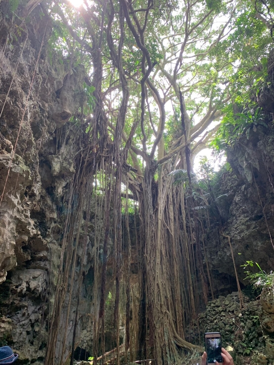 f:id:moru7:20190428170238j:plain f:id:moru7:20190428170238j:plain