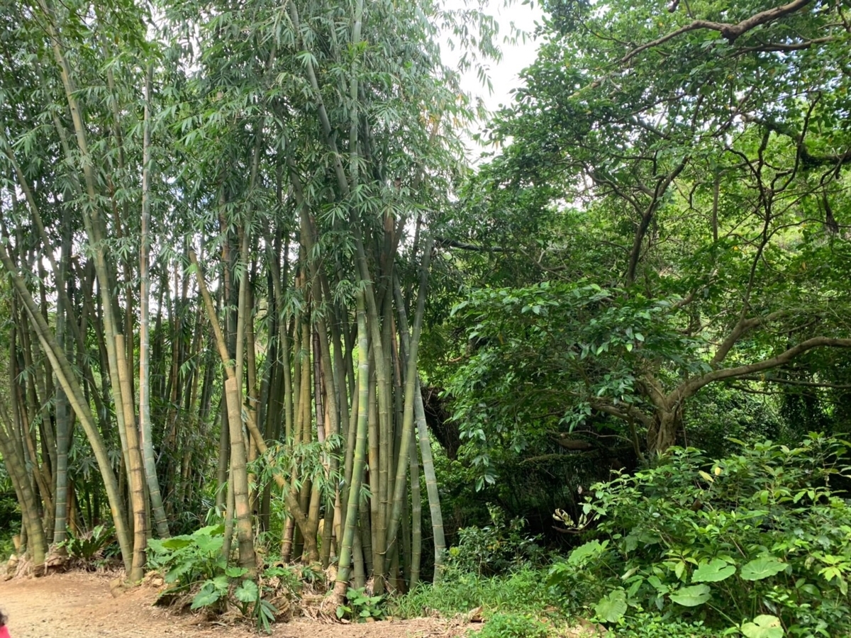 f:id:moru7:20190428170256j:plain f:id:moru7:20190428170256j:plain