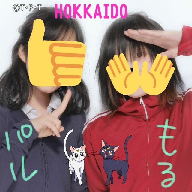 f:id:moruchu0a0:20190204234302j:image f:id:moruchu0a0:20190204234302j:image