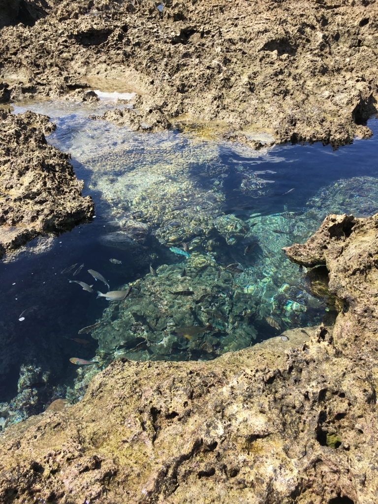 f:id:morurumoru:20180701174612j:plain f:id:morurumoru:20180701174612j:plain