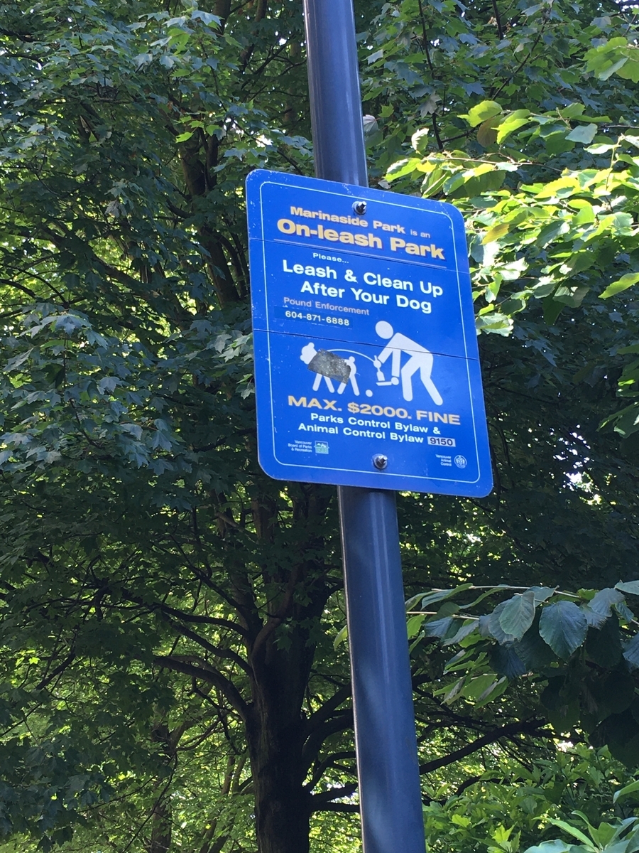 f:id:mosaM:20200708083003j:plain f:id:mosaM:20200708083003j:plain