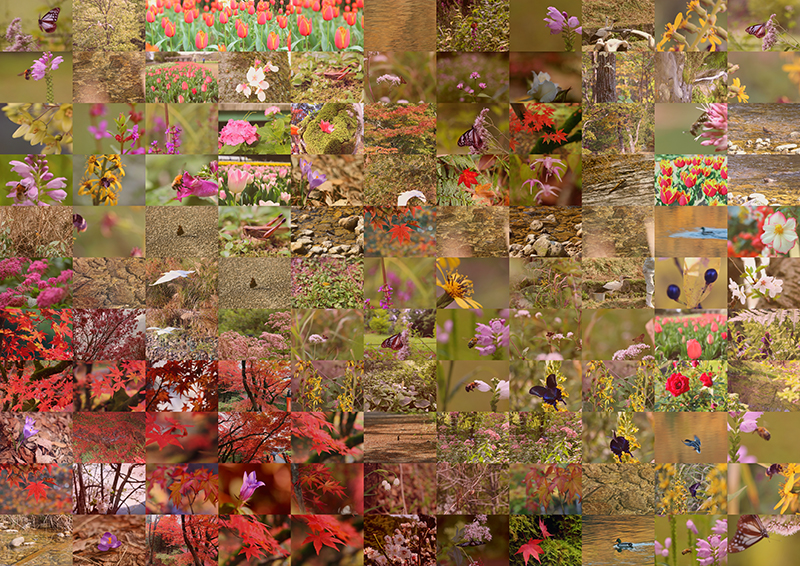 f:id:mosaicart:20210213154759j:plain