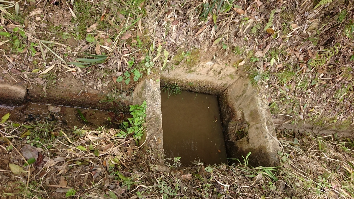 f:id:mosgreen3111:20200426213154j:plain