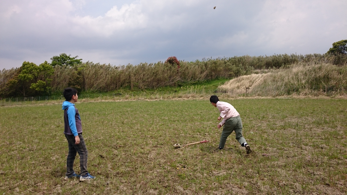 f:id:mosgreen3111:20200426214636j:plain