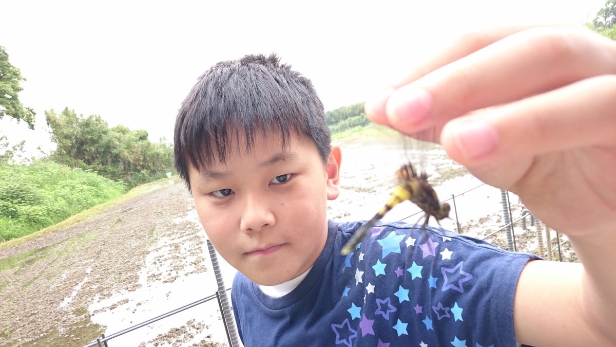 f:id:mosgreen3111:20200606214807j:plain