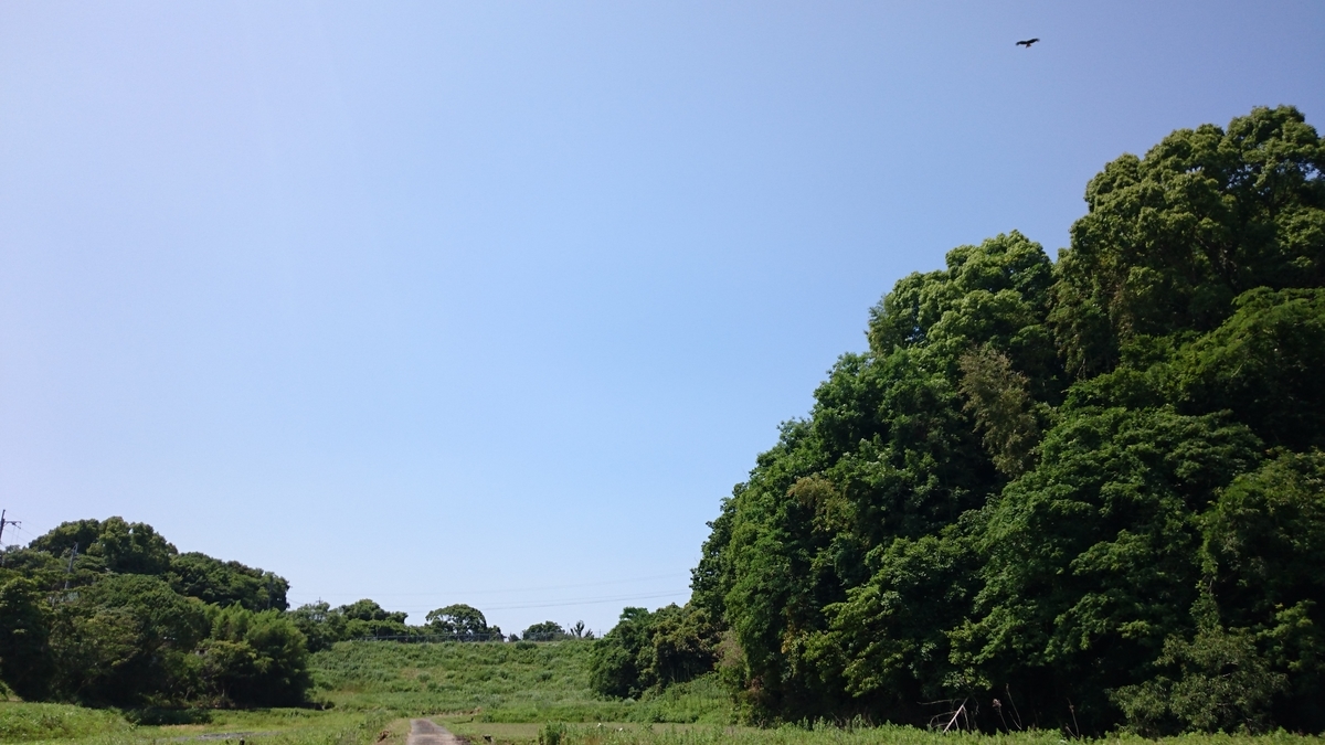 f:id:mosgreen3111:20200607132910j:plain f:id:mosgreen3111:20200607132910j:plain