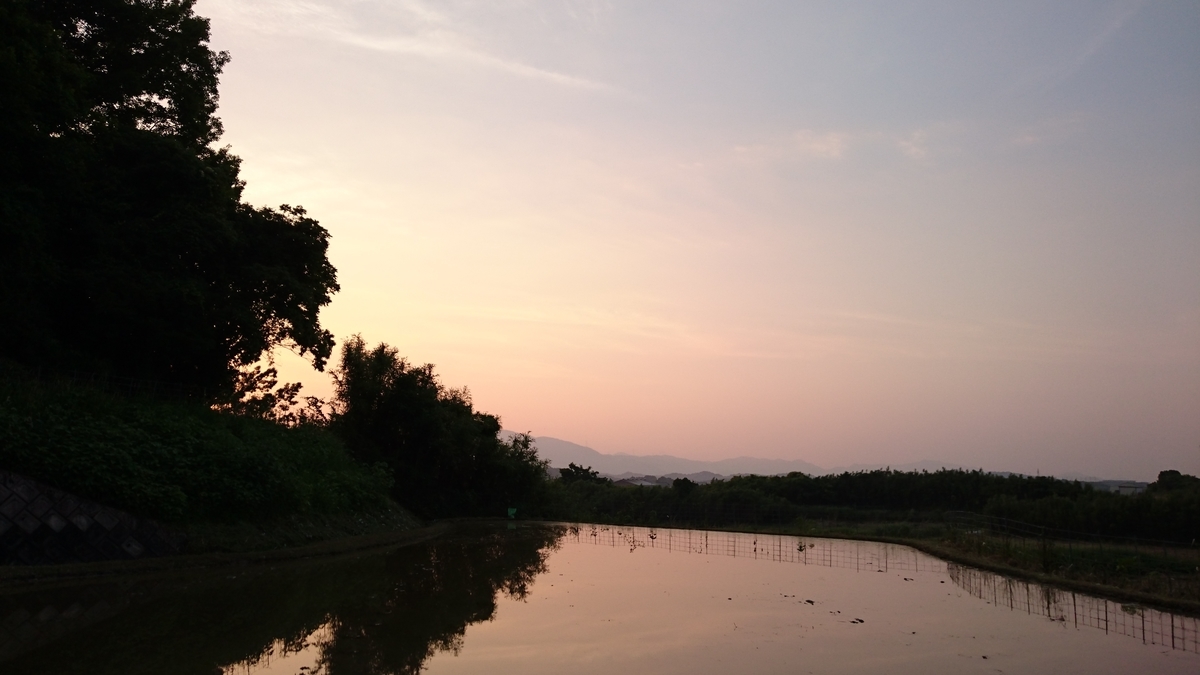 f:id:mosgreen3111:20200609055553j:plain f:id:mosgreen3111:20200609055553j:plain