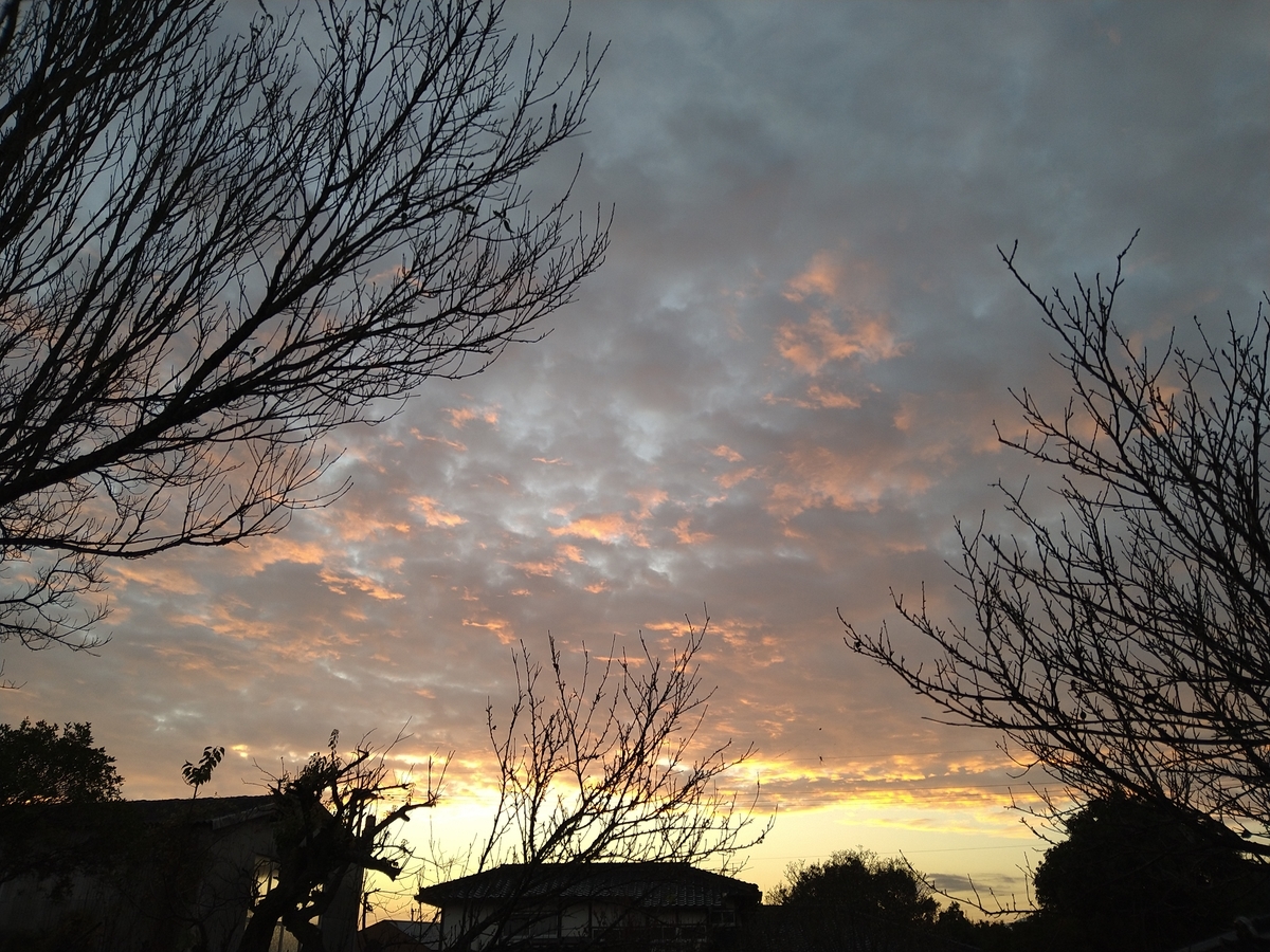 f:id:mosgreen3111:20201125164038j:plain